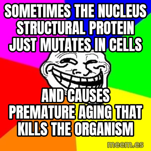 Trollface meme: Sometimes the nucleus structural protein just mutates in cells / and causes premature aging that kills the organism