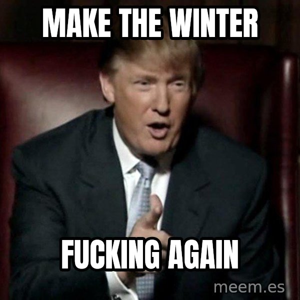 Donald Trump meme: Make the winter / fucking again