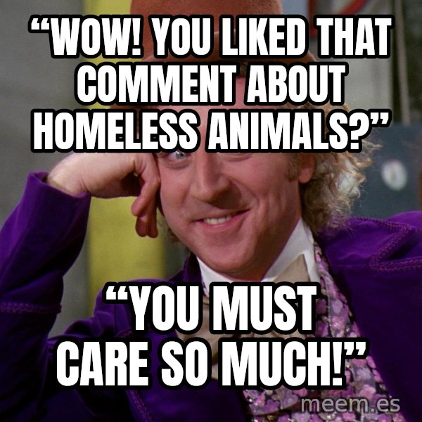 Willy Wonka meme: “Wow! You liked that comment about homeless animals?” / “You must care so much!”