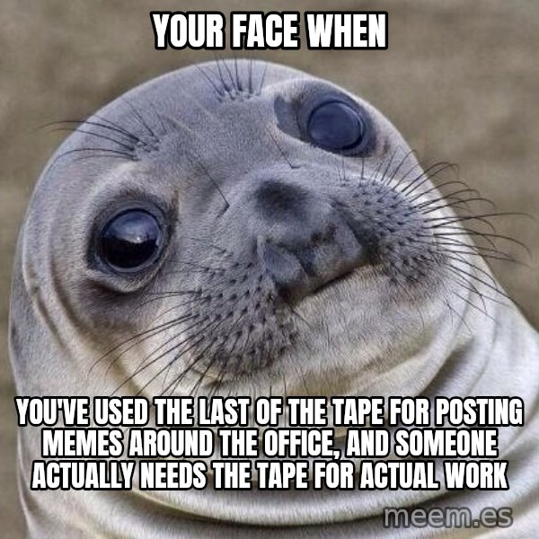 Awkward Seal meme: Your face when / you've used the last of the tape for posting memes around the office, and someone actually needs the tape for actual work
