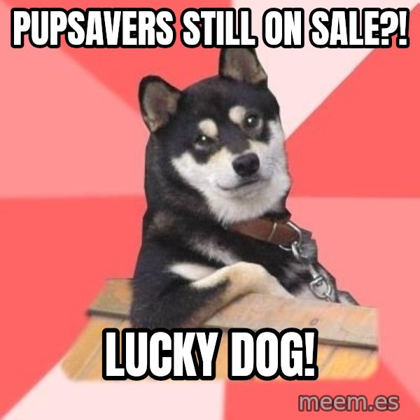 Cool Dog meme: PupSavers Still On Sale?! / Lucky Dog!
