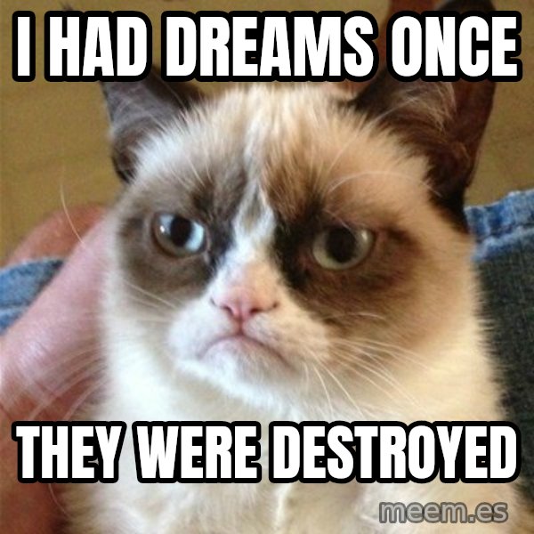Grumpy Cat  meme: i had dreams once / they were destroyed