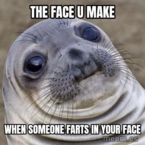 Awkward Seal meme: the face u make / when someone farts in your face