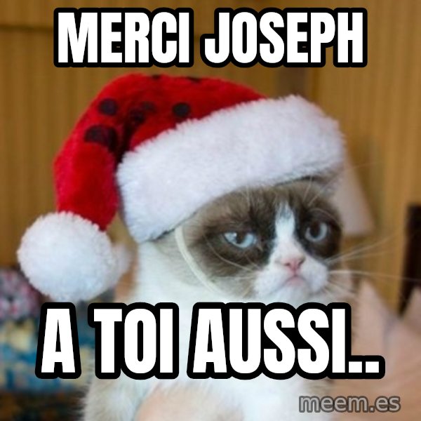 Grumpy Cat Santa Hat meme: Merci joseph / a toi aussi..