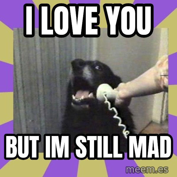 Yes, this is dog! meme: I Love You / But Im Still Mad