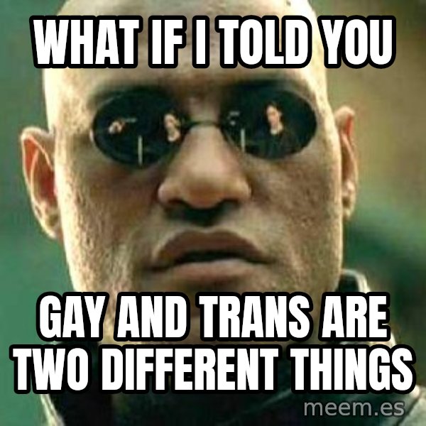 What If I Told You meme: What if I told you / gay and trans are two different things