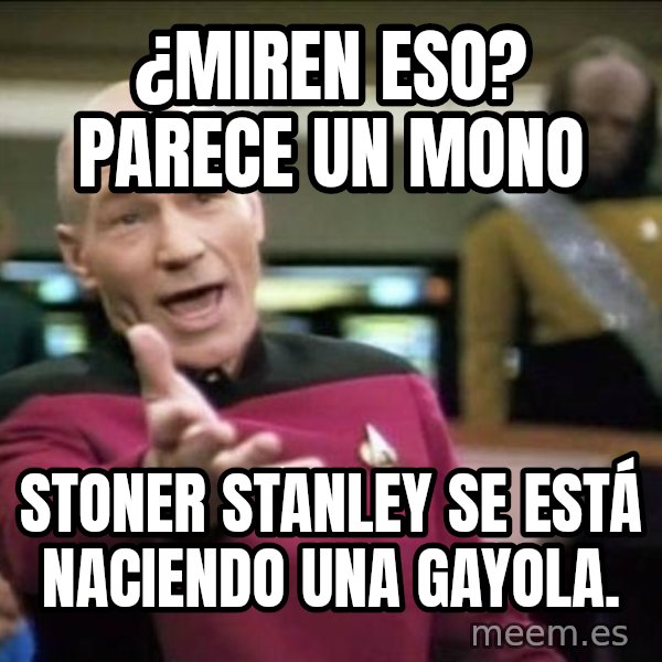 Why the fuck meme: ¿miren eso? parece un mono / Stoner Stanley se está naciendo una gayola.