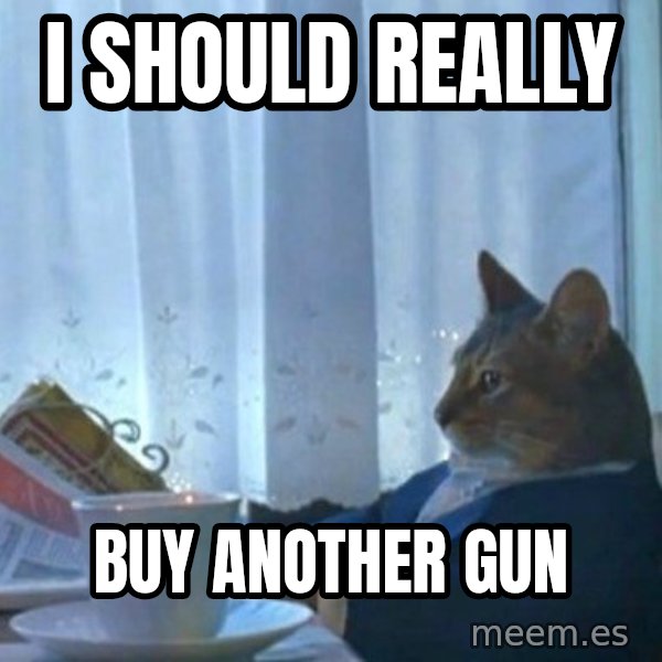 newspaper cat realization meme: I SHOULD REALLY / BUY ANOTHER GUN