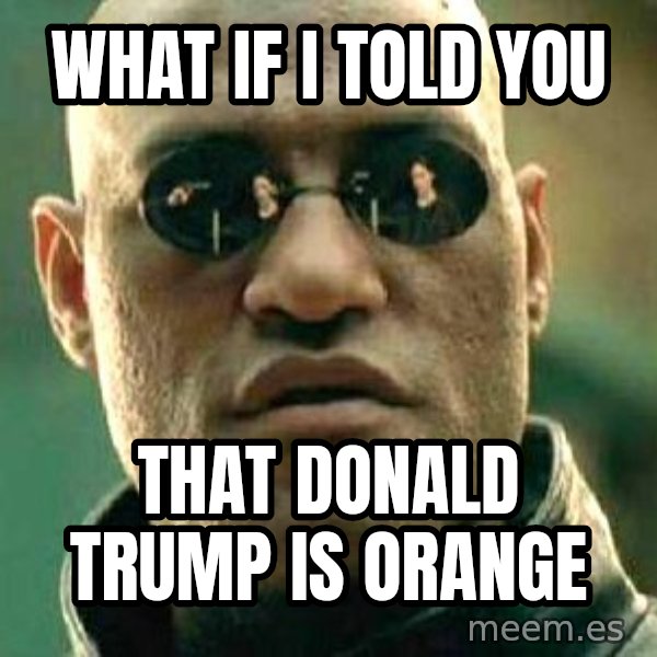 What if I told you / Matrix Morpheus meme: what if i told you / that donald trump is orange