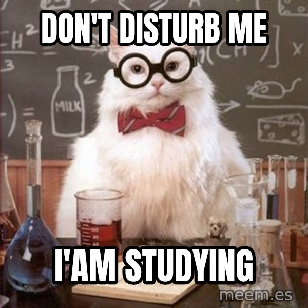 Chemistry Cat meme: DON'T DISTURB ME / I'AM STUDYING