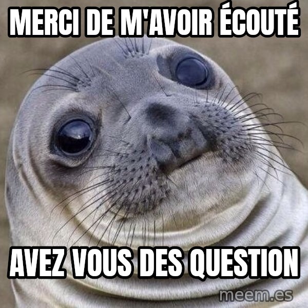 Awkward Seal meme: merci de m'Avoir écouté / avez vous des question