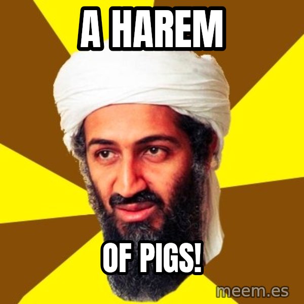 Osama meme: A harem / of pigs!