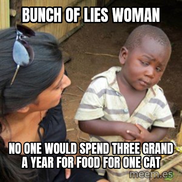 Skeptical 3rd World Kid meme: Bunch of lies woman / no one would spend three grand a year for food for one cat