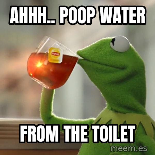 Kermit The Frog Drinking Tea meme: ahhh.. poop water / from the toilet