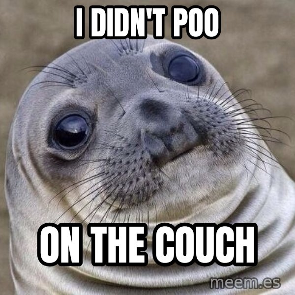Awkward Seal meme: I didn't poo / on the couch