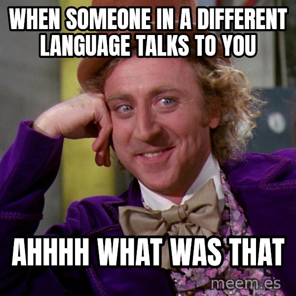 Willy Wonka meme: When someone in a different language talks to you / ahhhh what was that