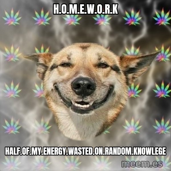 Stoner Dog meme: H.O.M.E.W.O.R.K / Half.of.My.energy.wasted.on.random.knowlege