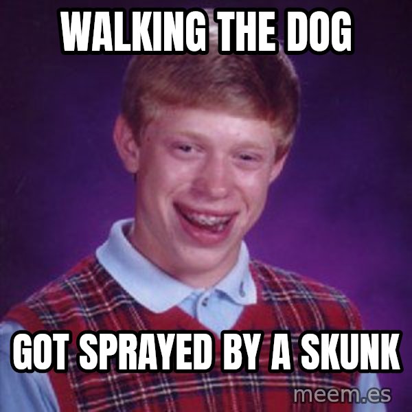 Bad Luck Brian meme: walking the dog / got sprayed by a skunk