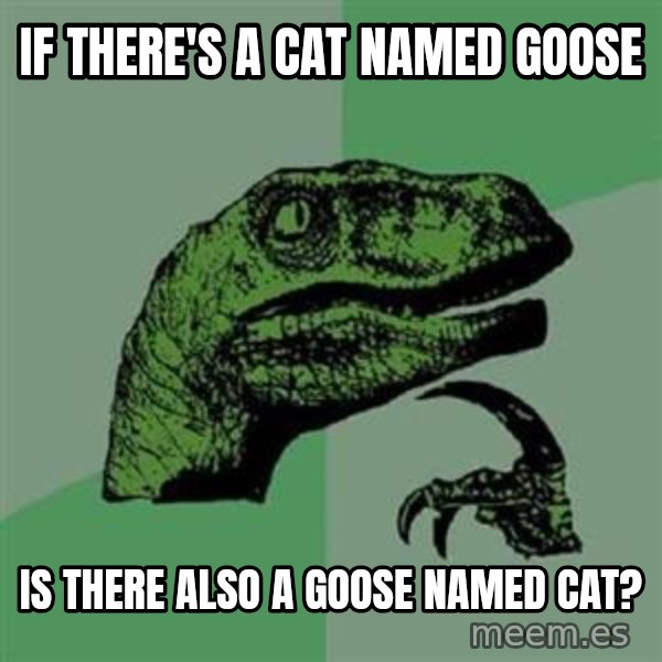 Philosoraptor meme: If there's a cat named Goose / is there also a goose named Cat?