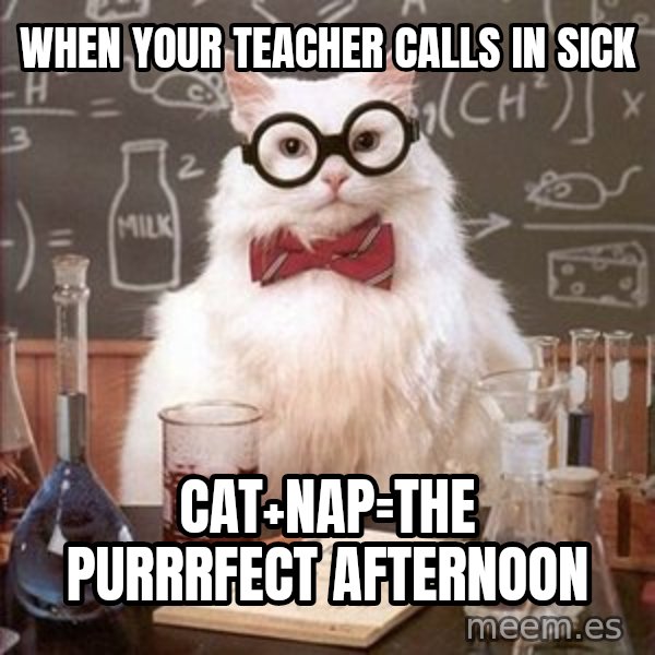 Chemistry Cat meme: when your teacher calls in sick / cat+Nap=the purrrfect afternoon