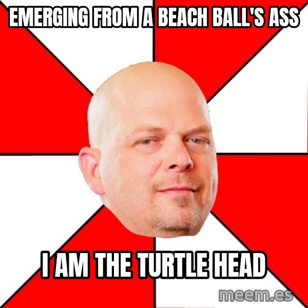 Pawn Stars meme: emerging from a beach ball's ass / i am the turtle head