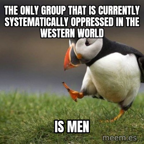 Unpopular Opinion Puffin meme: The only group that is currently systematically oppressed in the Western World / is men