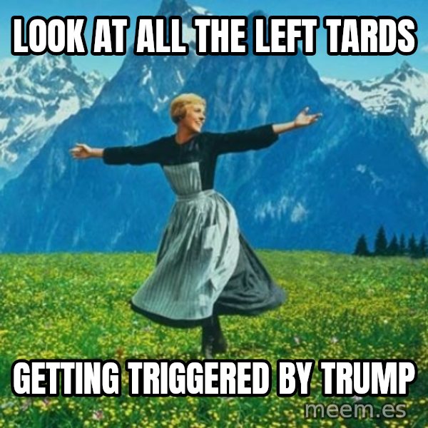Look at All the Fucks I Give meme: look at all the left tards / getting triggered by trump