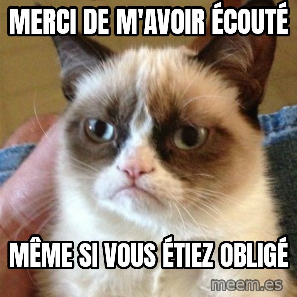 Grumpy Cat  meme: Merci de m'avoir écouté / Même si vous étiez obligé