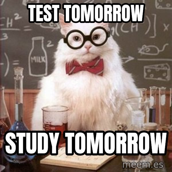 Chemistry Cat meme: test tomorrow / study tomorrow