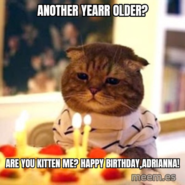Birthday Cat meme: Another Yearr older? / Are you kitten me? Happy birthday,Adrianna!