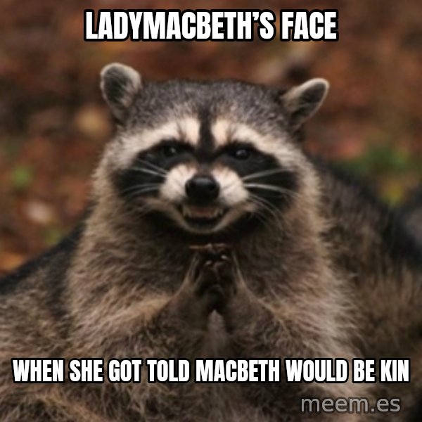 evil raccoon meme: LadyMacbeth’s face / When she got told Macbeth would be kin
