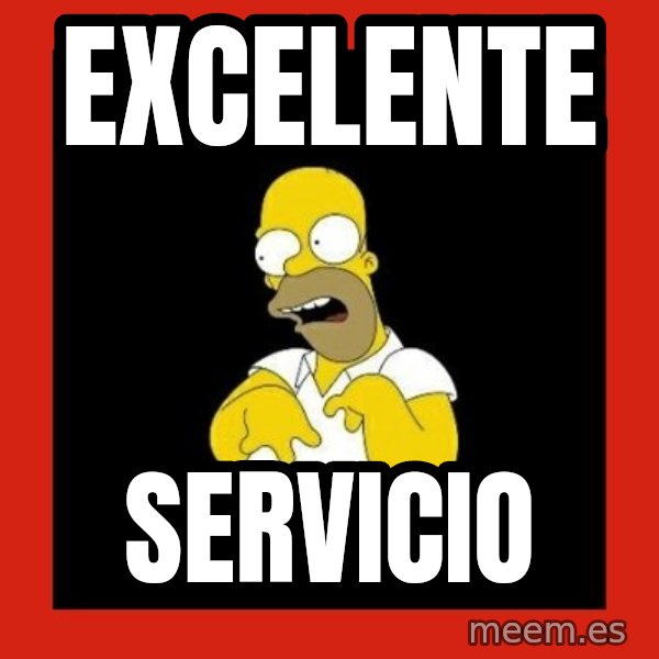 Homer retard meme: Excelente / Servicio