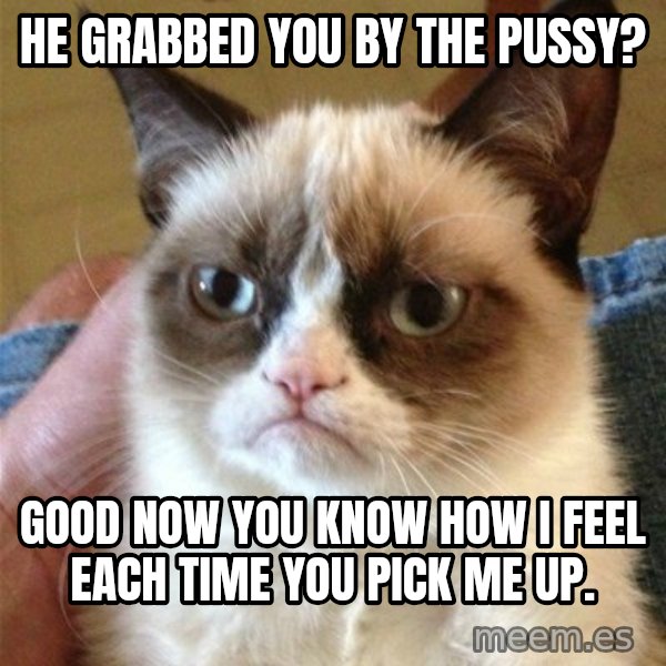 Grumpy Cat  meme: he grabbed you by the pussy? / good now you know how i feel each time you pick me up.