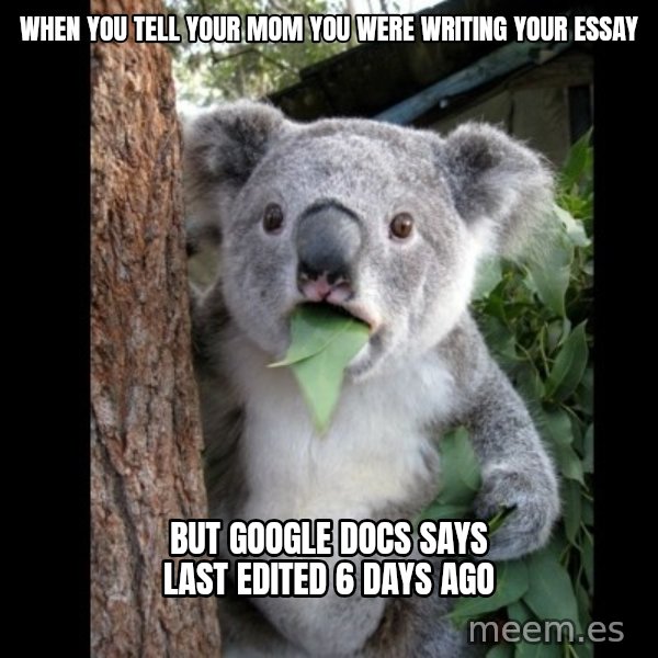 Koala can't believe it meme: when you tell your mom you were writing your essay / but google docs says last edited 6 days ago