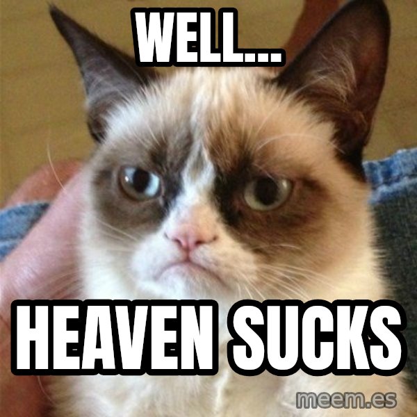 Grumpy Cat  meme: well... / heaven sucks