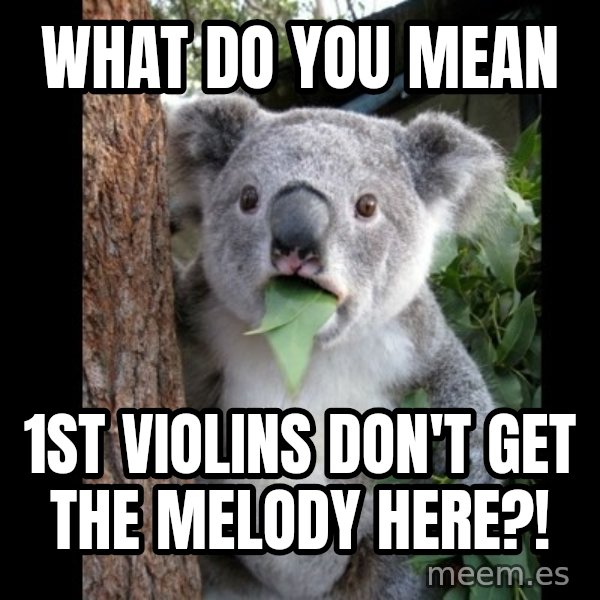 Koala can't believe it meme: What do you mean / 1st violins don't get the melody here?!