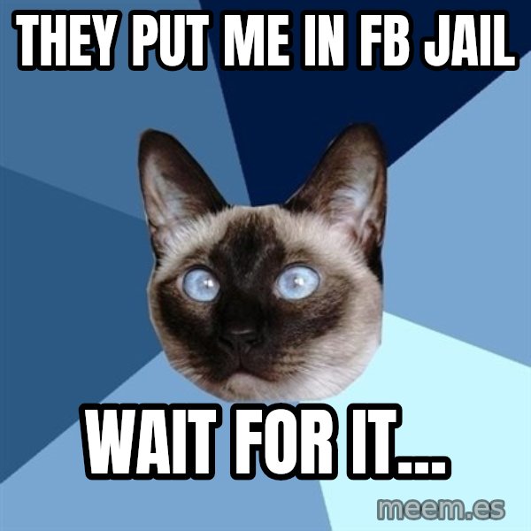 Chronic Illness Cat meme: They put me in FB Jail / Wait for it...