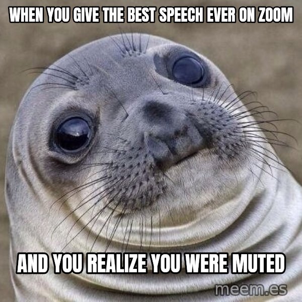 Awkward Seal meme: When you give the best speech ever on Zoom / and you realize you were muted