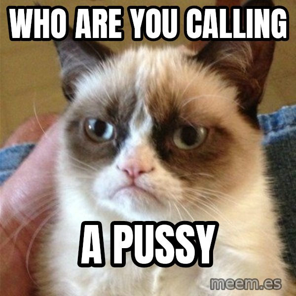 Grumpy Cat  meme: Who are you calling / A pussy