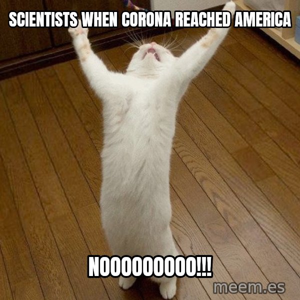 praise the lord cat meme: scientists when corona reached america / nooooooooo!!!