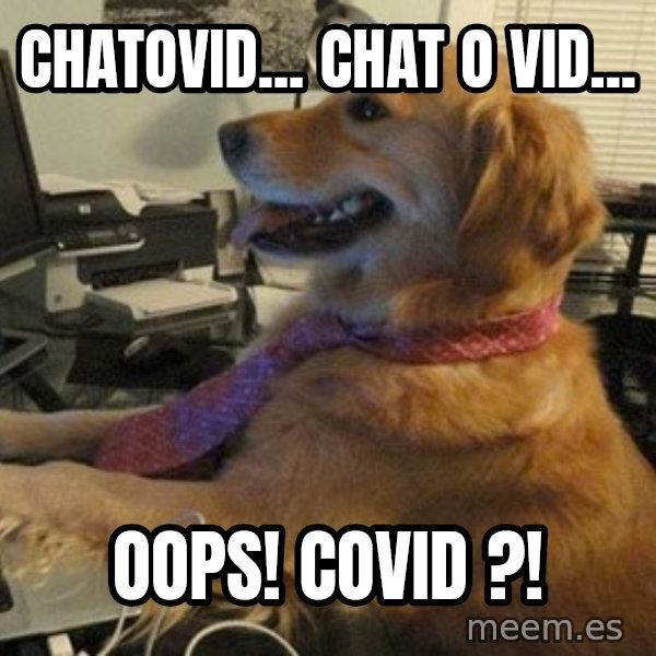 I have no idea what I'm doing - Dog with Tie meme: Chatovid... Chat o vid... / Oops! Covid ?!