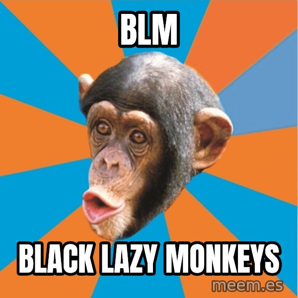 Stupid Monkey meme: BLM / Black Lazy Monkeys