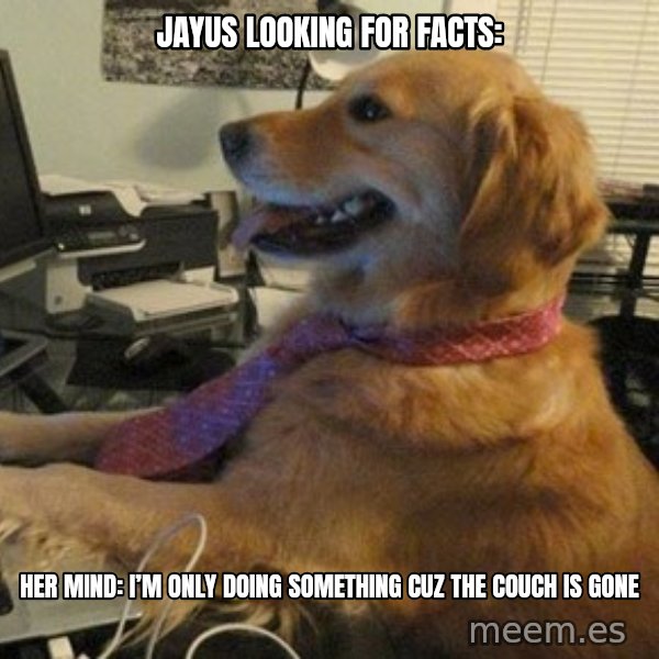 I have no idea what I'm doing - Dog with Tie meme: Jayus looking for facts: / Her Mind: I’m only doing something cuz the couch is gone