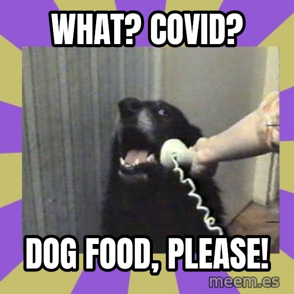 Yes, this is dog! meme: What? Covid? / Dog food, please!
