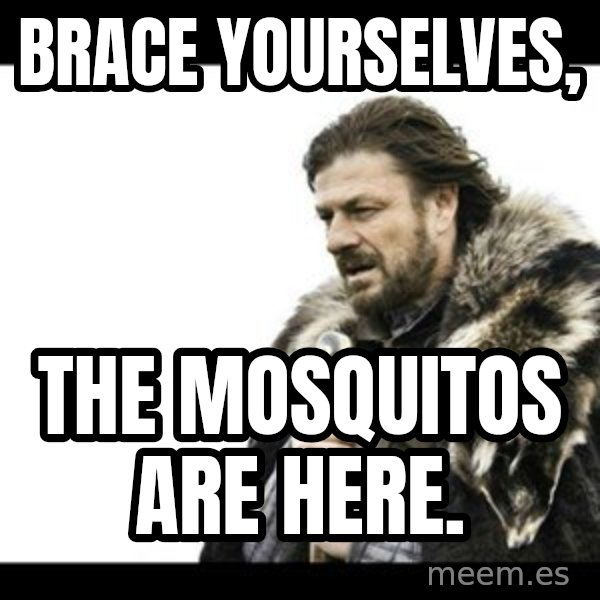 Winter is Coming meme: Brace yourselves, / the mosquitos are here.