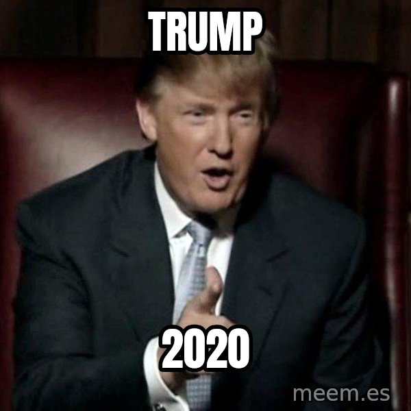 Donald Trump meme: Trump / 2020