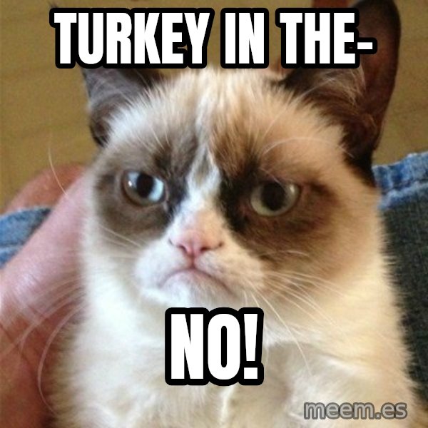 Grumpy Cat  meme: turkey in the- / NO!