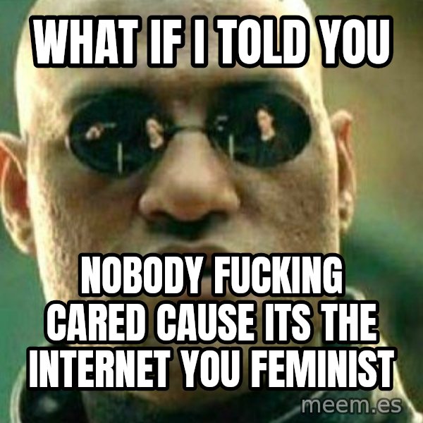 What If I Told You meme: what if i told you / nobody fucking cared cause its the internet you feminist