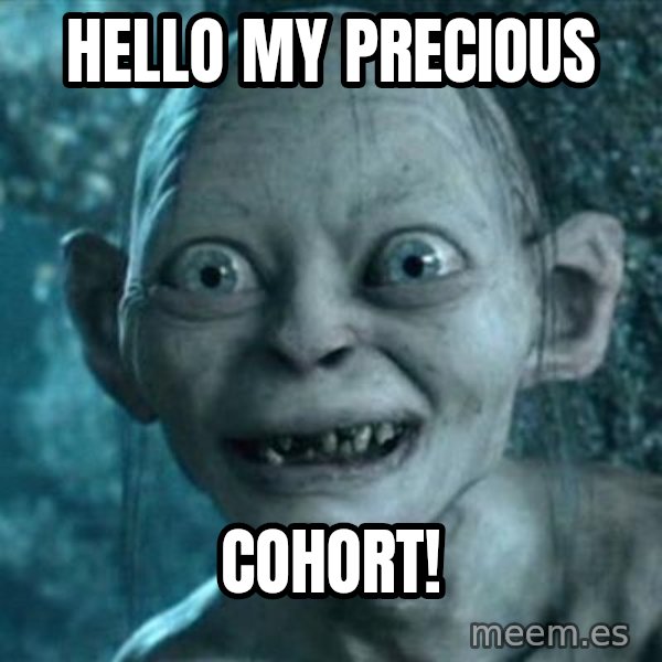 My Precious Gollum meme: Hello my precious / cohort!