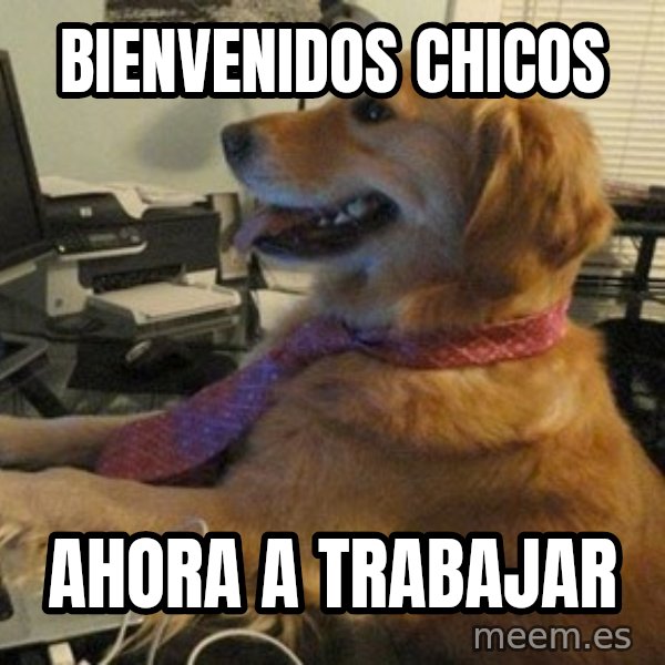 I have no idea what I'm doing - Dog with Tie meme: Bienvenidos chicos / ahora a trabajar
